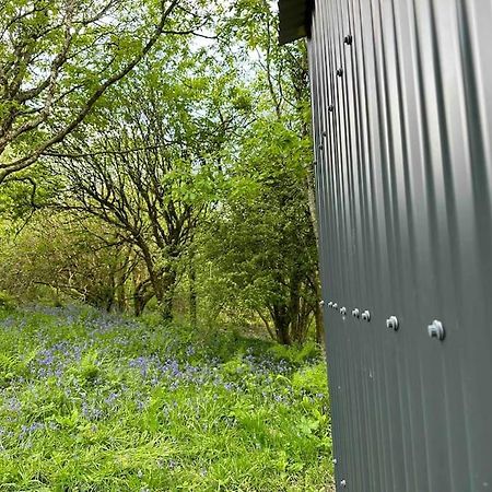 Cornwall Woodland Shepherd'S Hut - Dennis Hut Bodmin Bagian luar foto