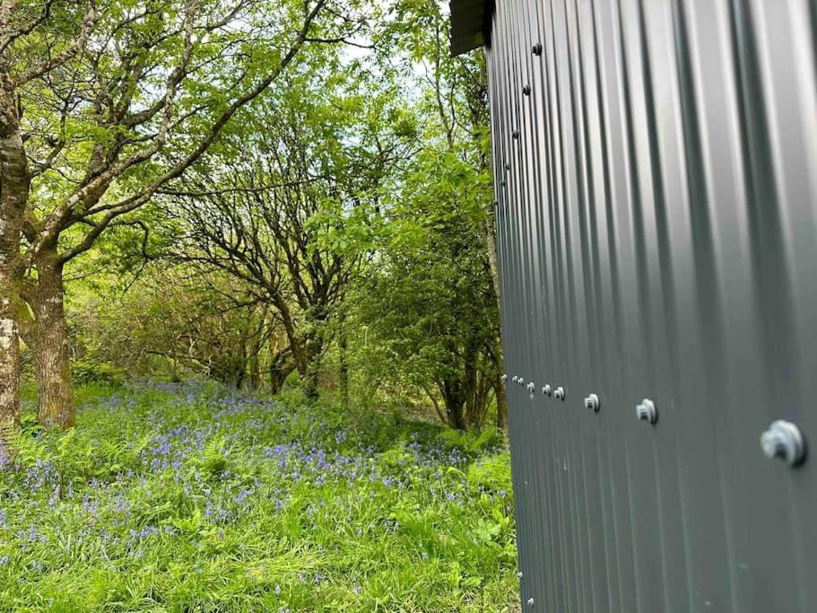 Cornwall Woodland Shepherd'S Hut - Dennis Hut Bodmin Bagian luar foto