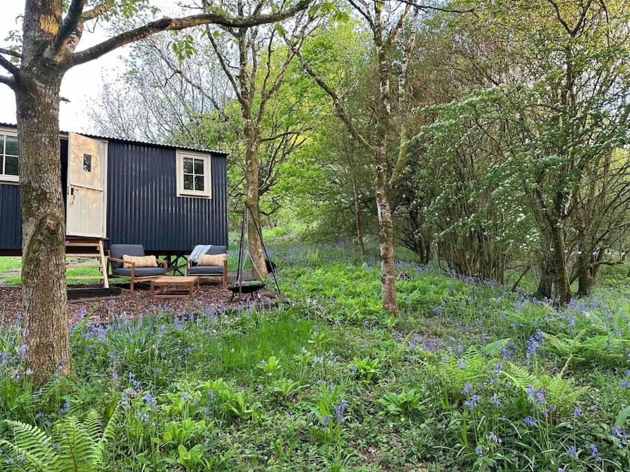 Cornwall Woodland Shepherd'S Hut - Dennis Hut Bodmin Bagian luar foto